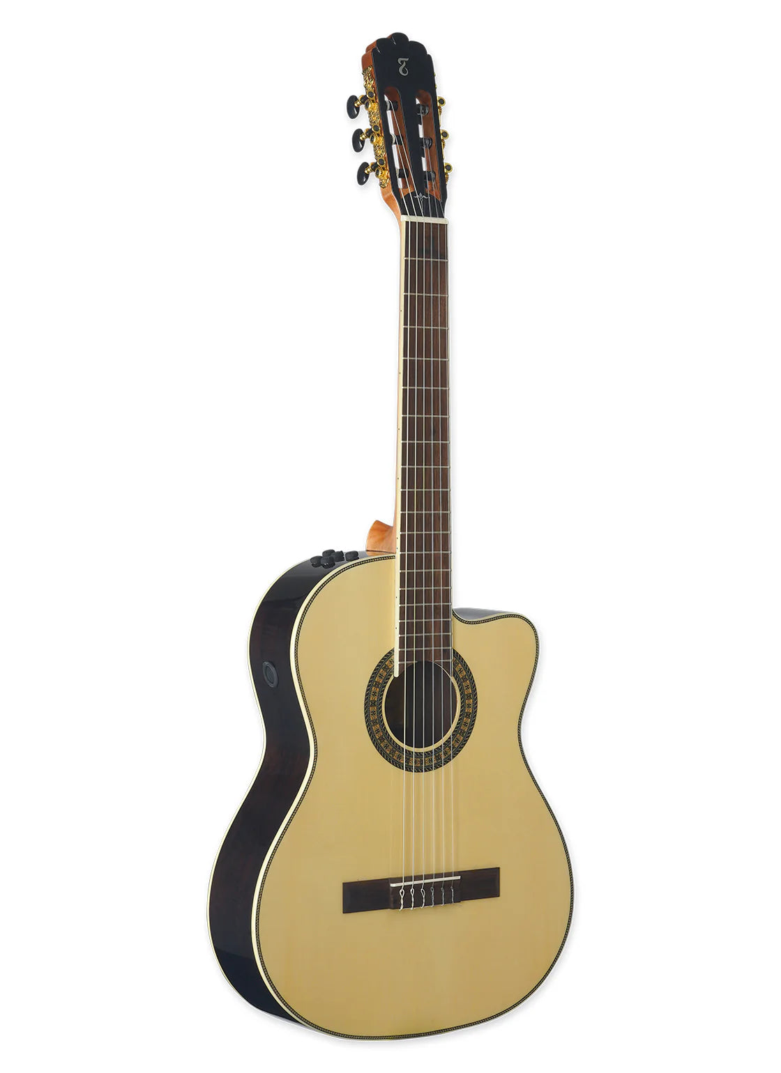 Tagima WS-12 EQ Acoustic Electric Guitar