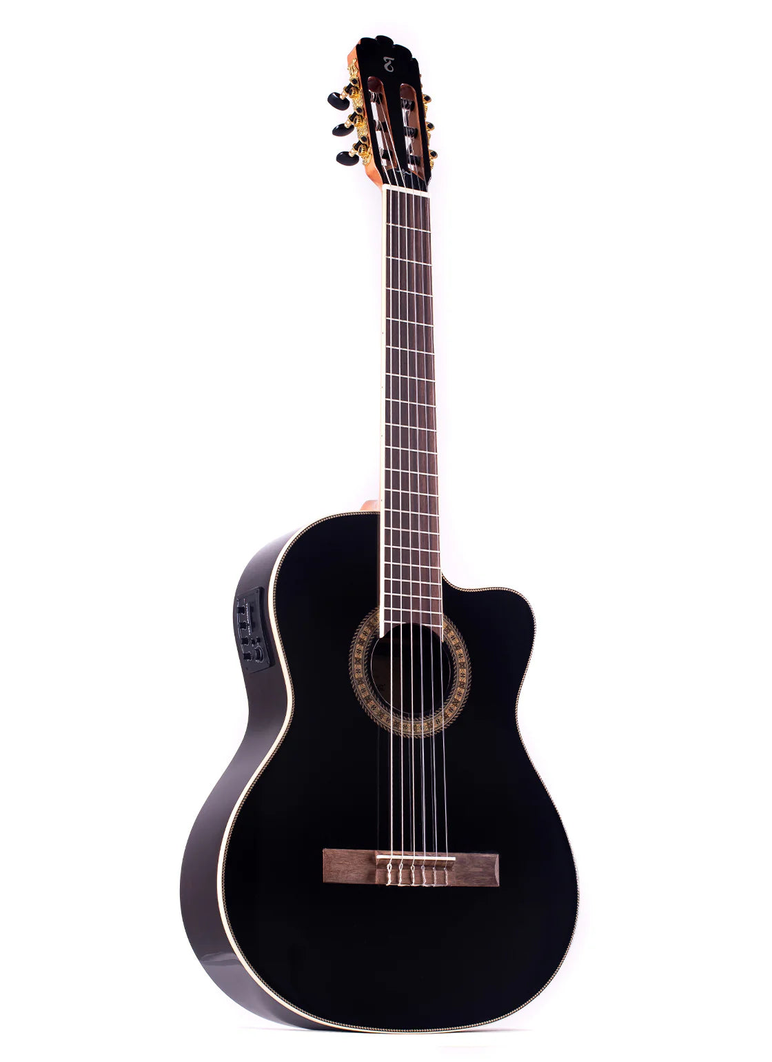 Tagima WS-12 EQ Acoustic Electric Guitar