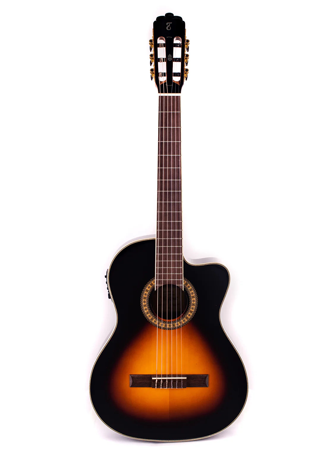 Tagima WS-12 EQ Acoustic Electric Guitar
