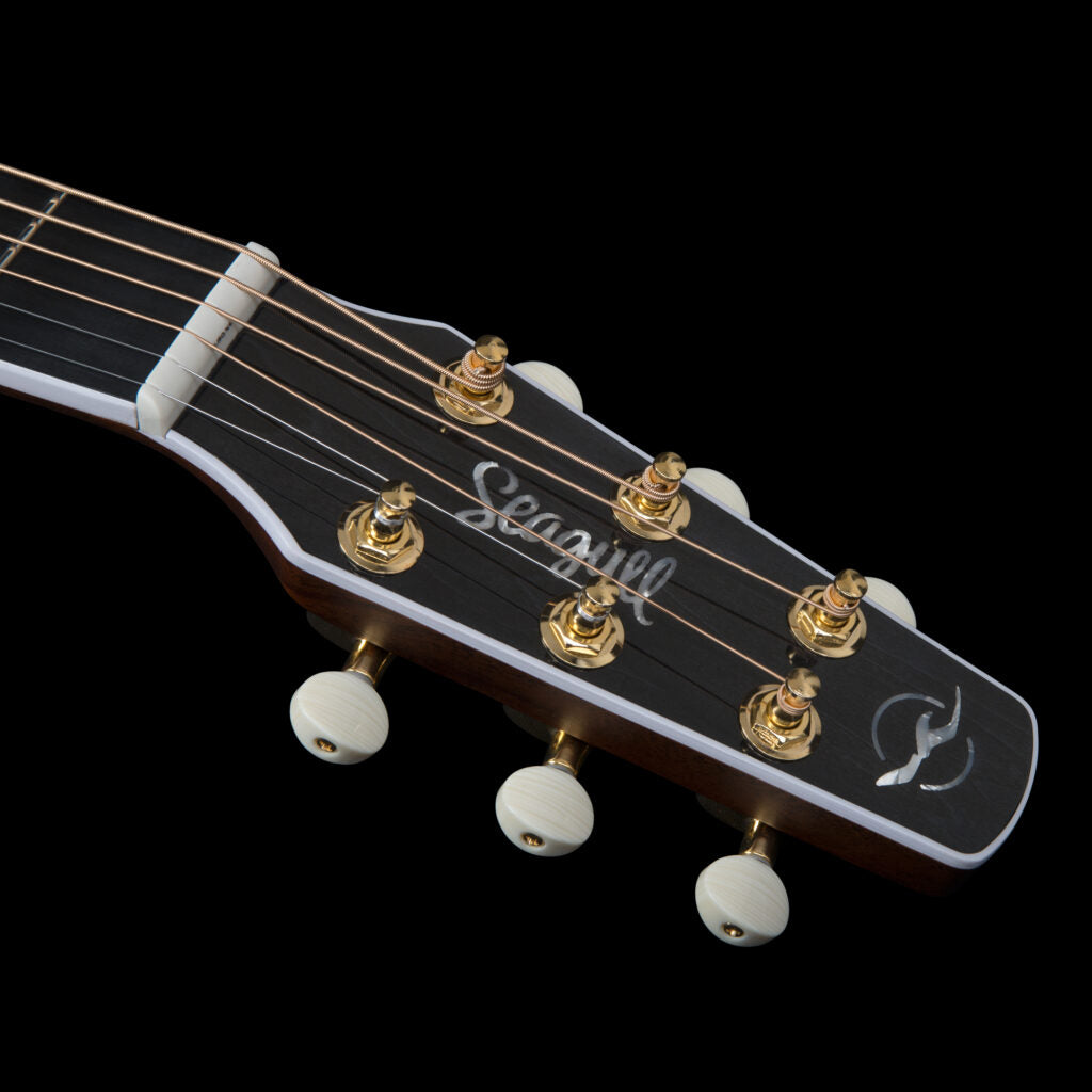 Seagull ARTIST MOSAIC CW HG ANTHEM EQ