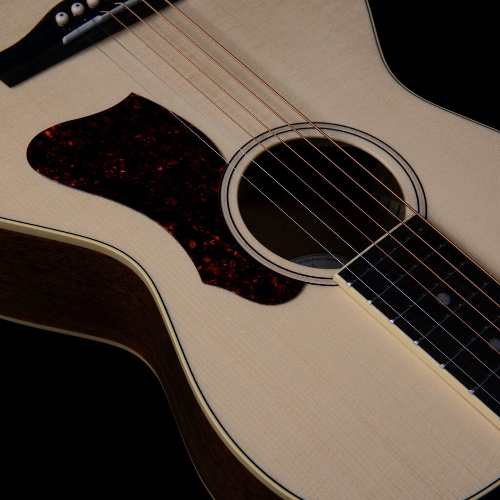 Godin Rialto Natural RN GT EQ