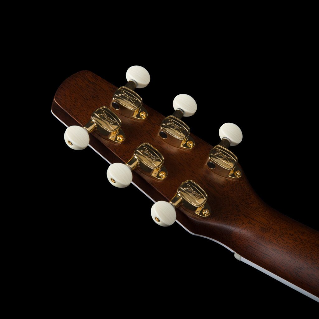 Seagull ARTIST MOSAIC ANTHEM EQ