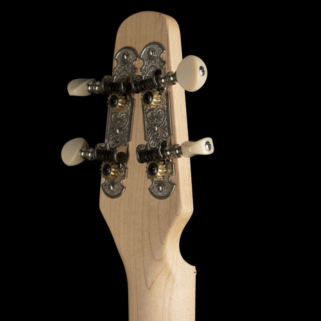 Seagull M4 MAHOGANY
