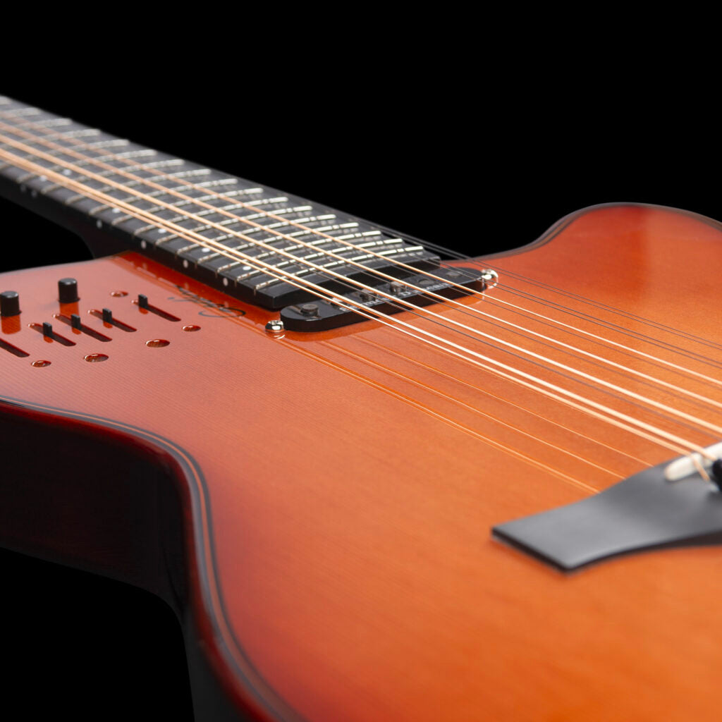 Godin A12 Ultra Dlx Lightburst