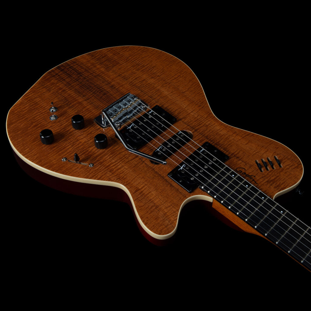 Godin XTSA