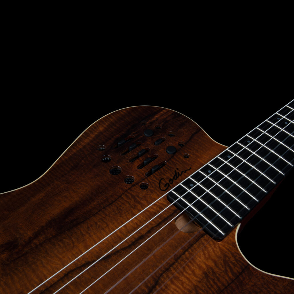 Godin ACS Nylon KOA Extreme HG