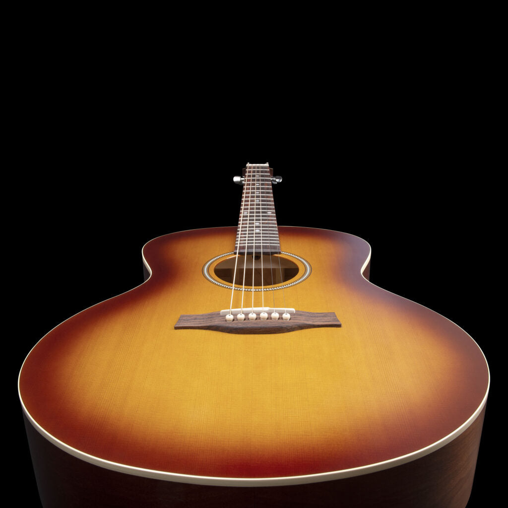 Seagull ENTOURAGE MJ RUSTIC BURST
