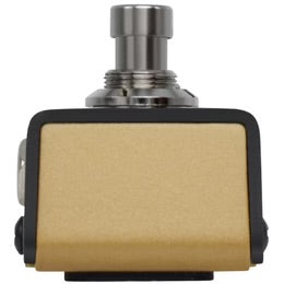 Ampero Switch, Momentary Footswitch by Hotone