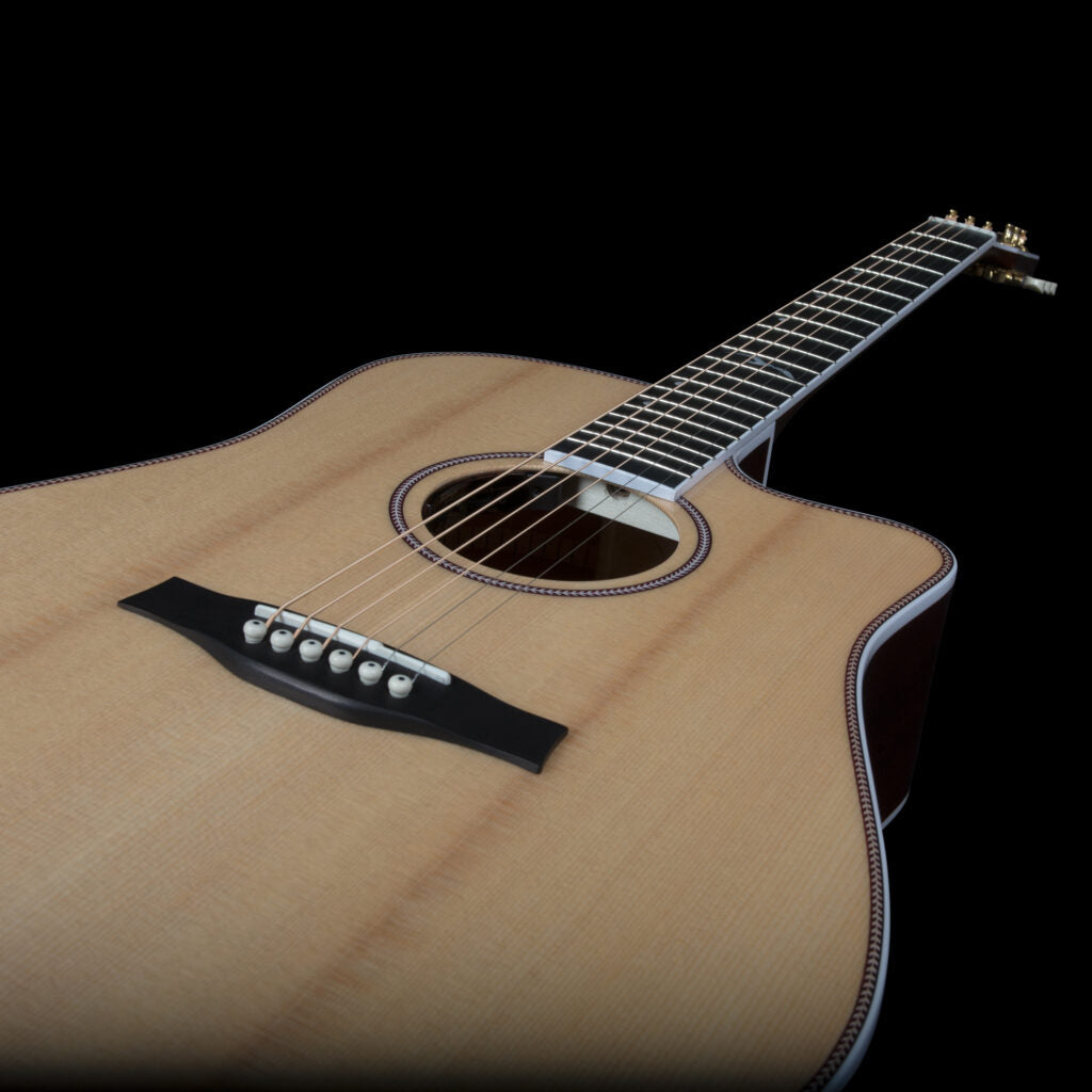 Seagull ARTIST MOSAIC CW HG ANTHEM EQ