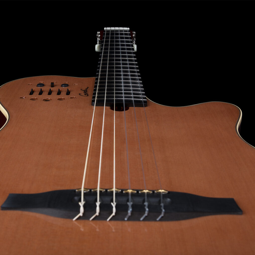 GODIN MULTIAC GRAND CONCERT HG
