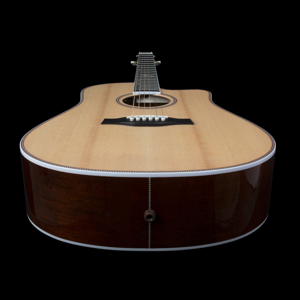 Seagull ARTIST MOSAIC CW HG ANTHEM EQ