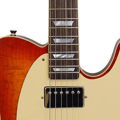 Nashguitars T59 FMT CSB