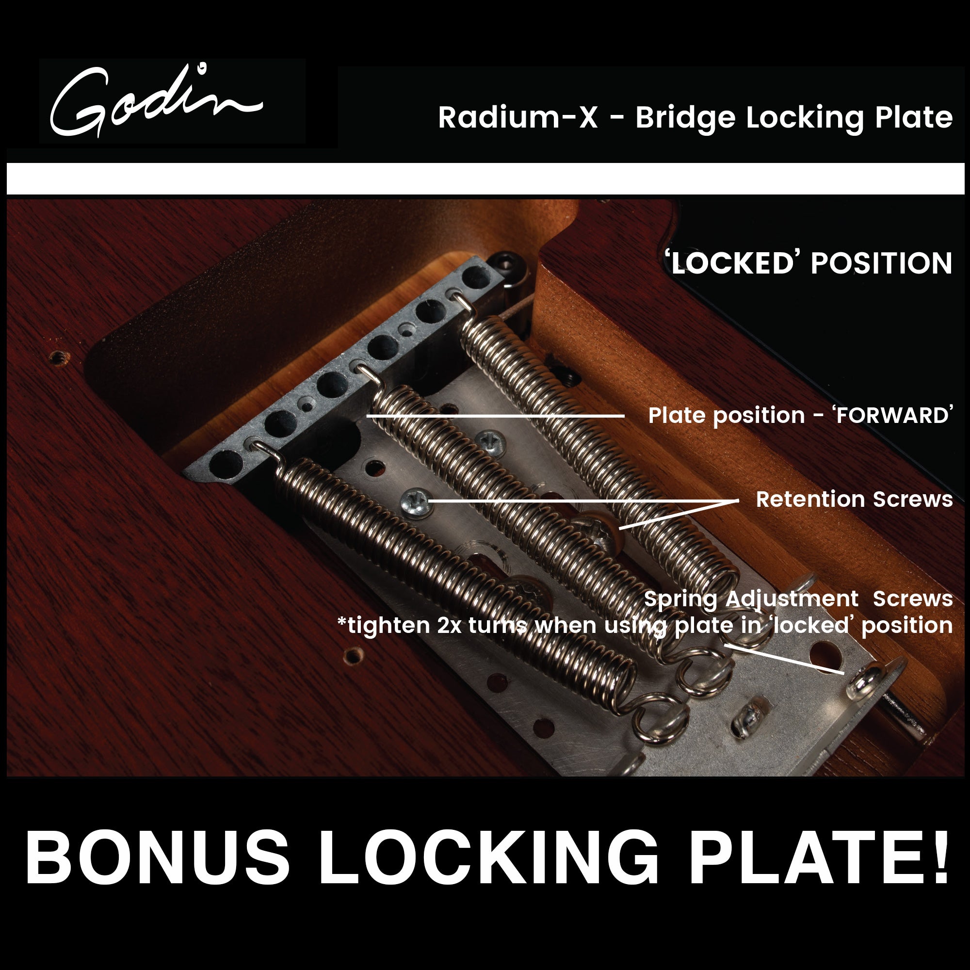Godin Radium-X Natural