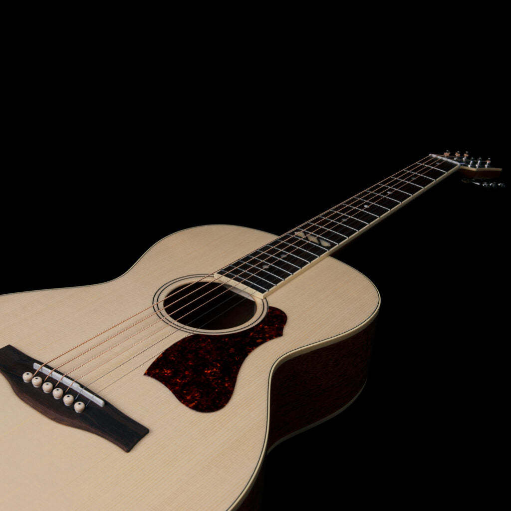 Godin Rialto Natural RN GT EQ