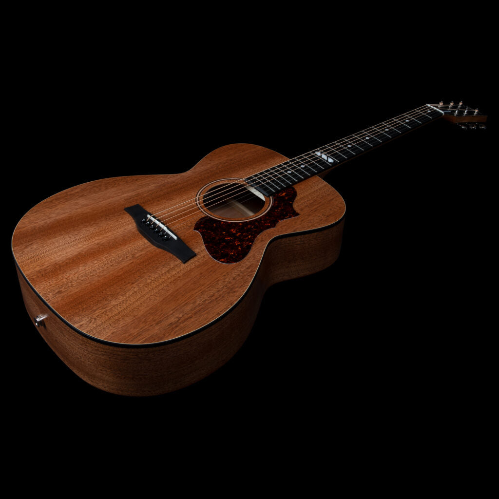 Godin Fairmount CH Composer LR Baggs Element