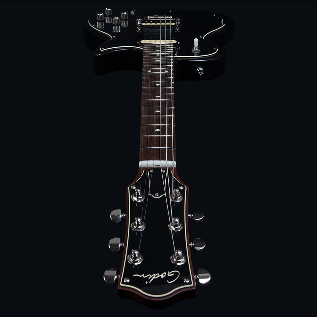 Godin Radiator