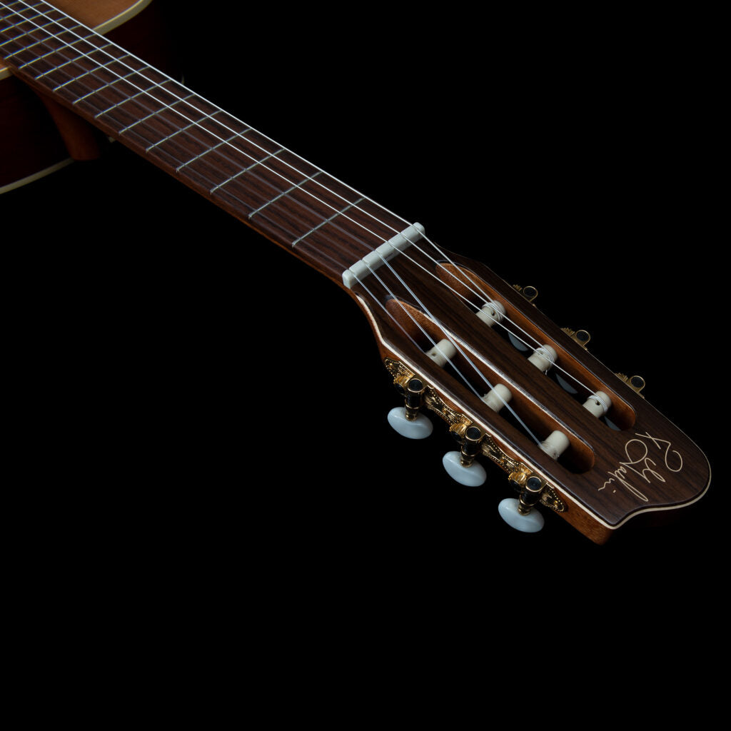 Godin Motif Clasica II