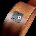Godin Mahogany Folk Rustic Burst A/E
