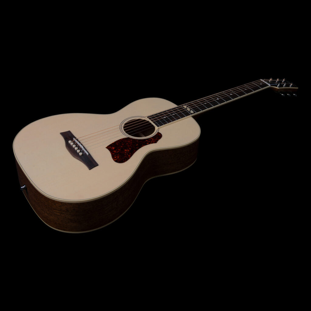 Godin Rialto Natural RN GT EQ