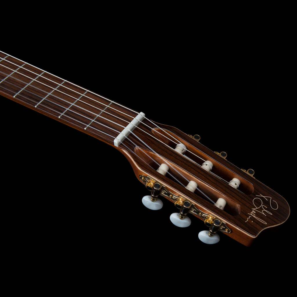 Godin Concert Clasica II