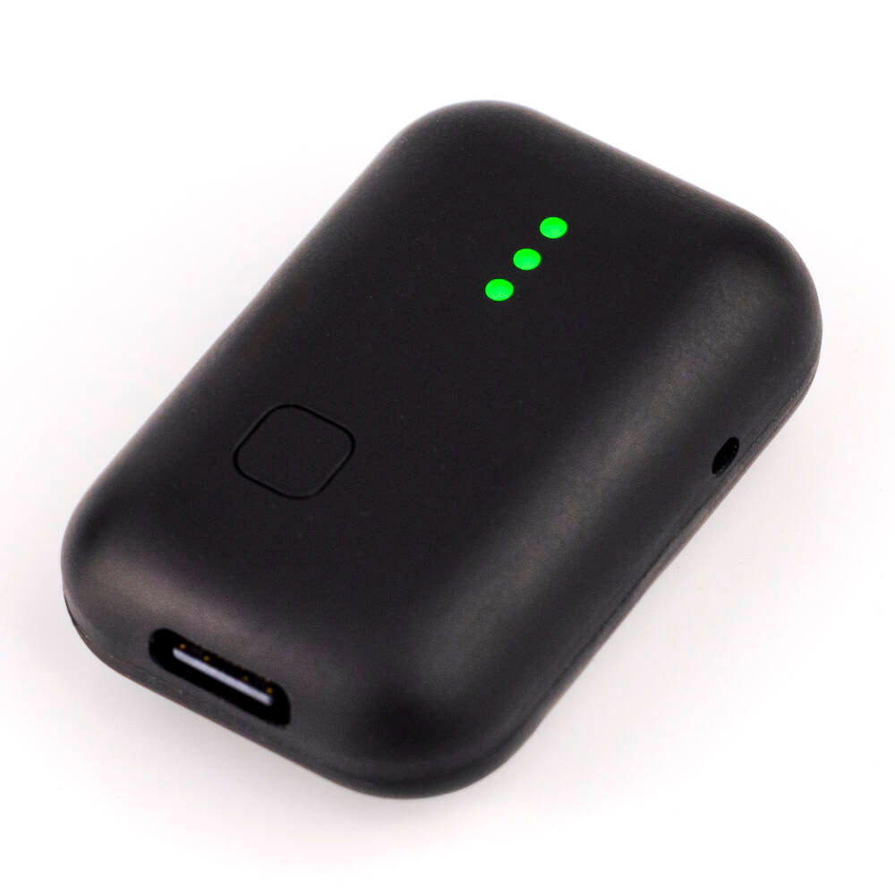 Zoom Instamic Pro Plus C - Mono/Stereo
