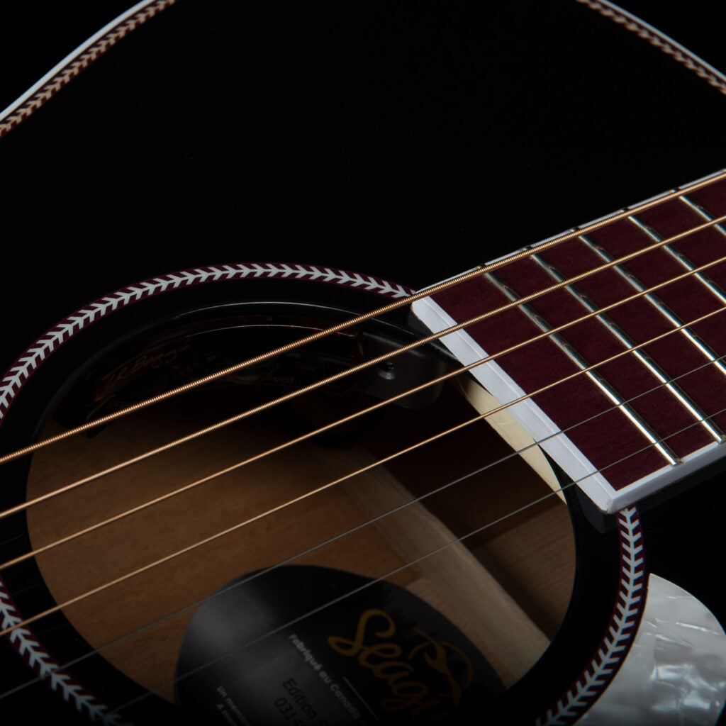 Seagull ARTIST TUXEDO BLACK ANTHEM EQ