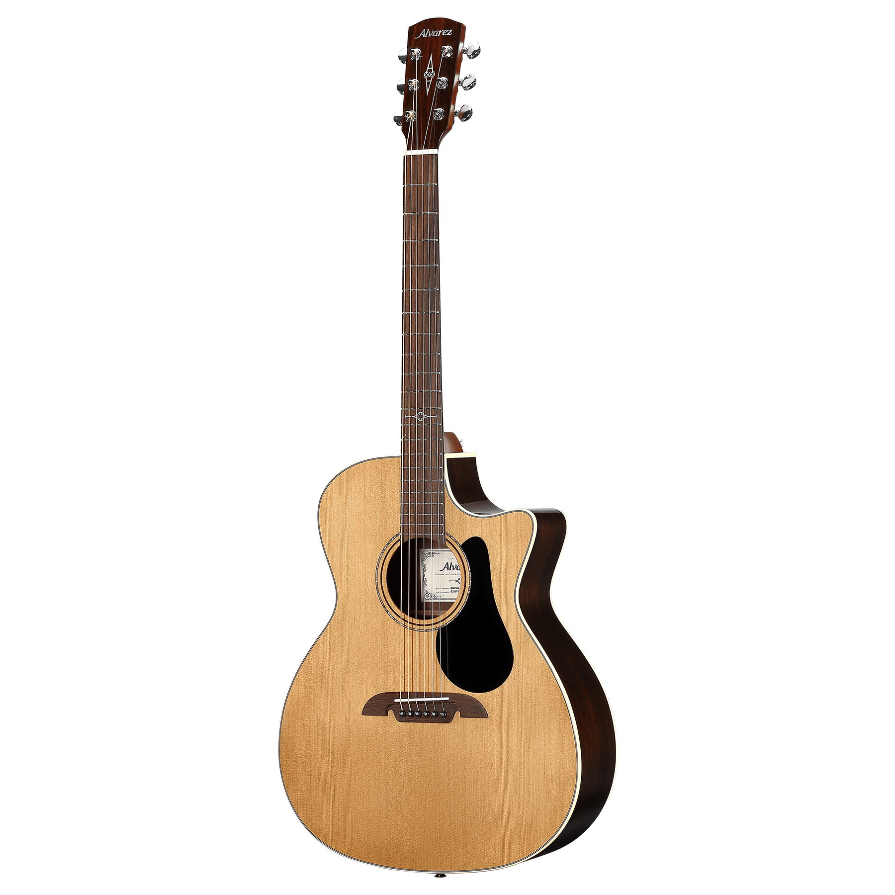 Alvarez AG75ce
Artist Grand Auditorium