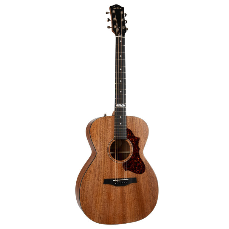 Godin Fairmount CH Composer LR Baggs Element