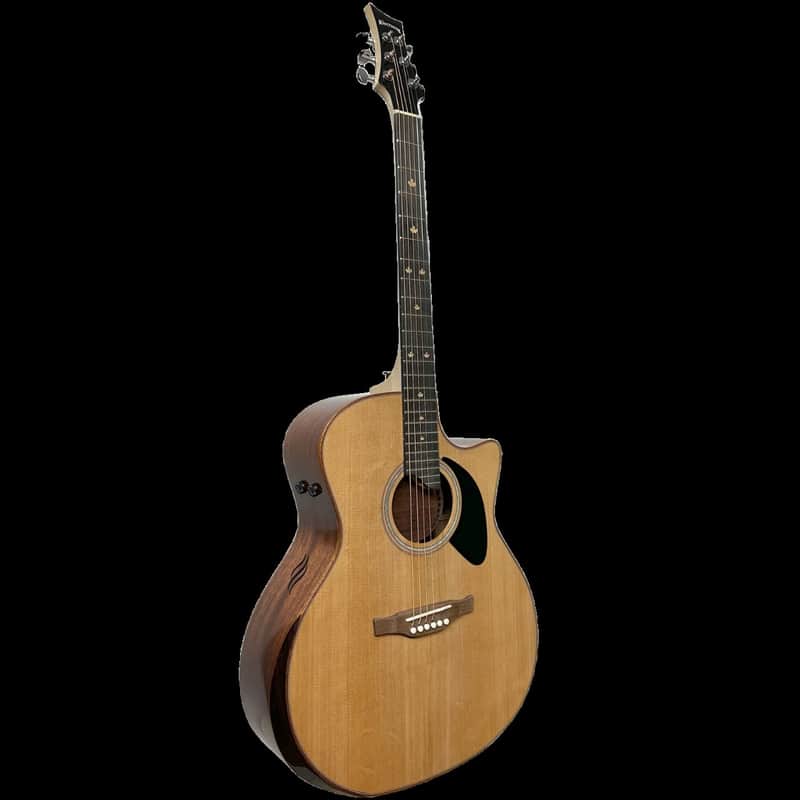 Riversong Guitars P555CEA Pacific Series Natural 2023 Dragon Slayer 6 String RH Acoustic Guitar