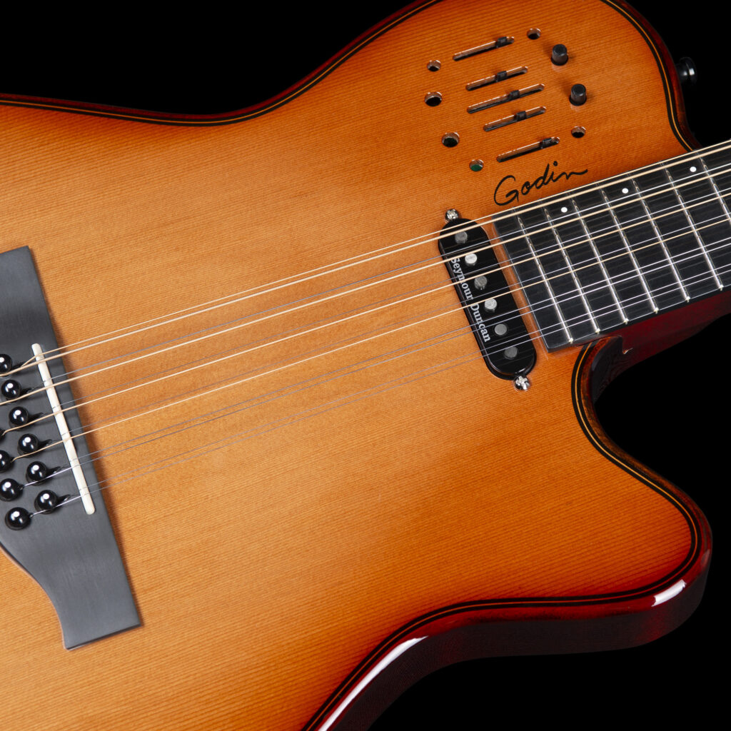 Godin A12 Ultra Dlx Lightburst