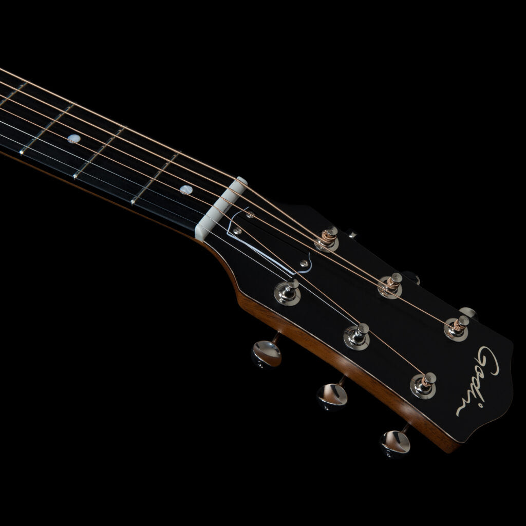 Godin Fairmount CH Composer LR Baggs Element