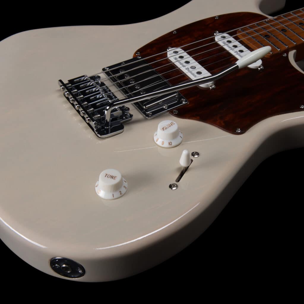 Godin Session T-Pro MN/RN