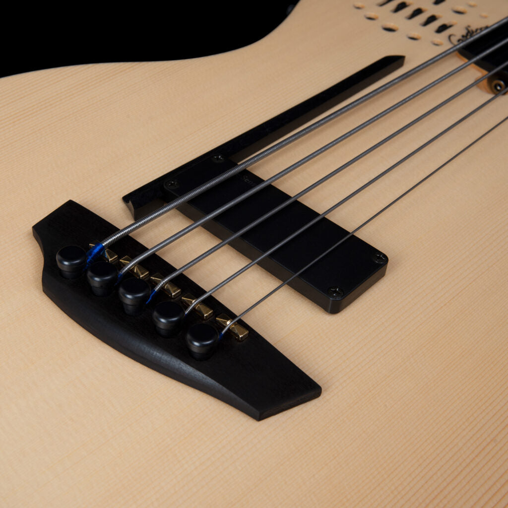 Godin A5 Ultra Natural Fretless A/E