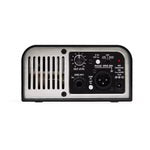TWO NOTES TNCAPTOR16 TORPEDO CAPTOR ANALOG LOAD BOXES 16 OHM