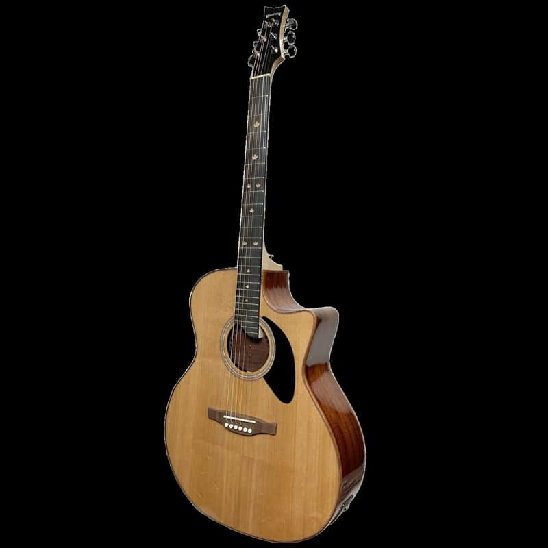 Riversong Guitars P555CEA Pacific Series Natural 2023 Dragon Slayer 6 String RH Acoustic Guitar