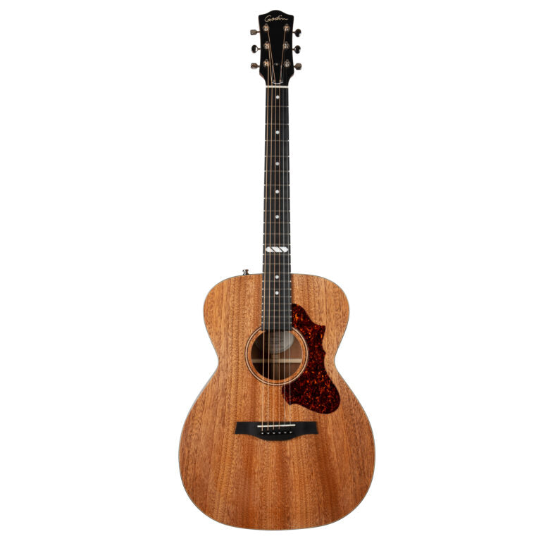 Godin Fairmount CH Composer LR Baggs Element