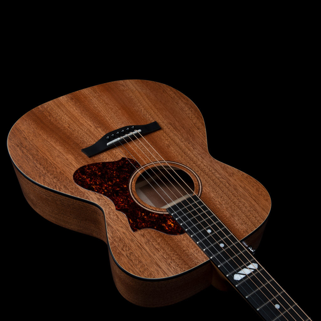 Godin Fairmount CH Composer LR Baggs Element