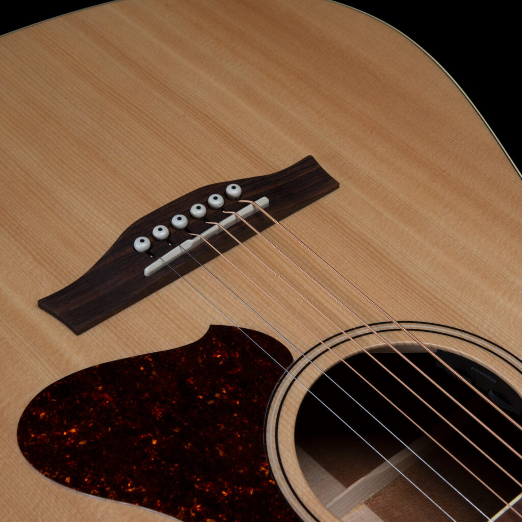 Godin Metropolis Natural RN GT EQ