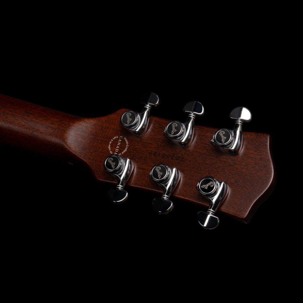 Godin Radium-X Rustic Burst