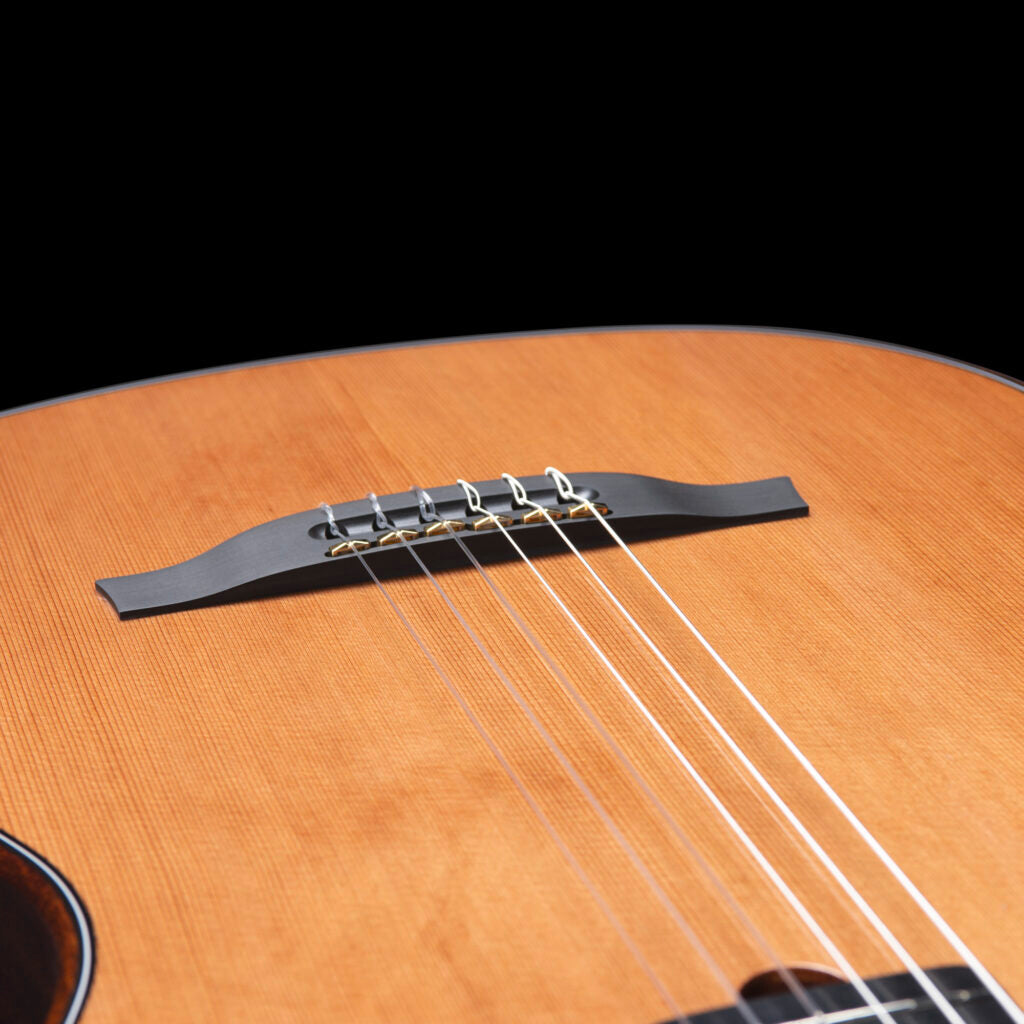 Godin Multiac Mundial Grand Concert Mahogany Deluxe
