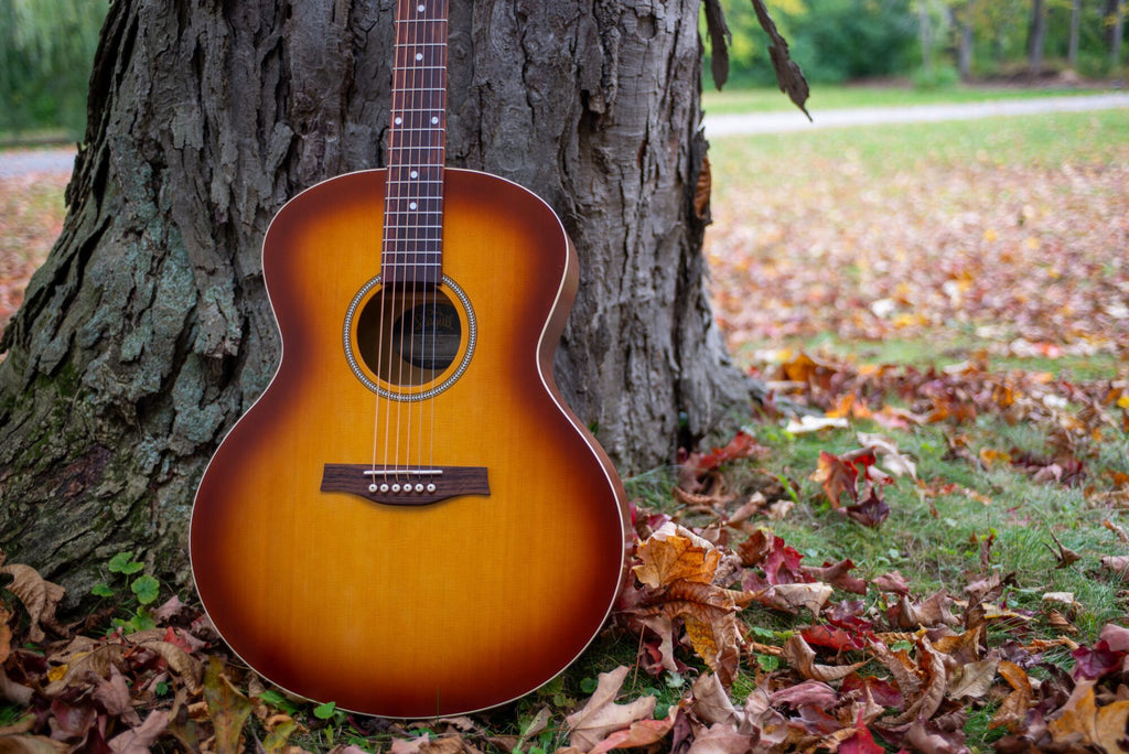 Seagull ENTOURAGE MJ RUSTIC BURST