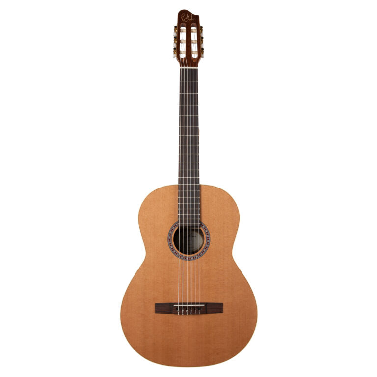 Godin Collection