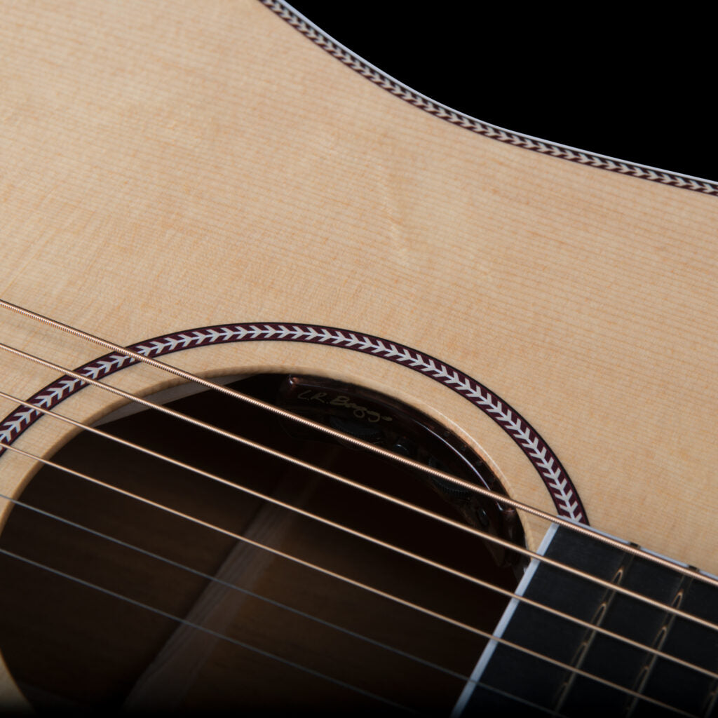 Seagull ARTIST MOSAIC ANTHEM EQ