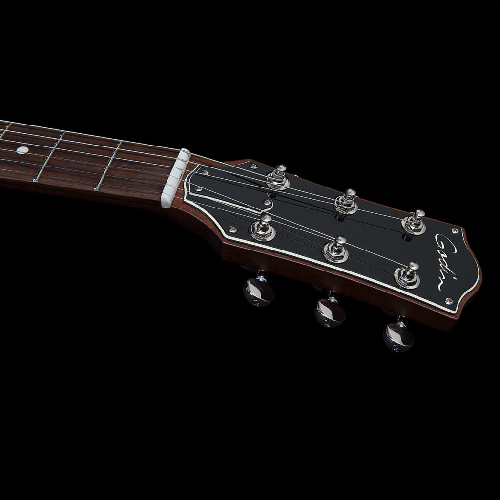 Godin Radiator