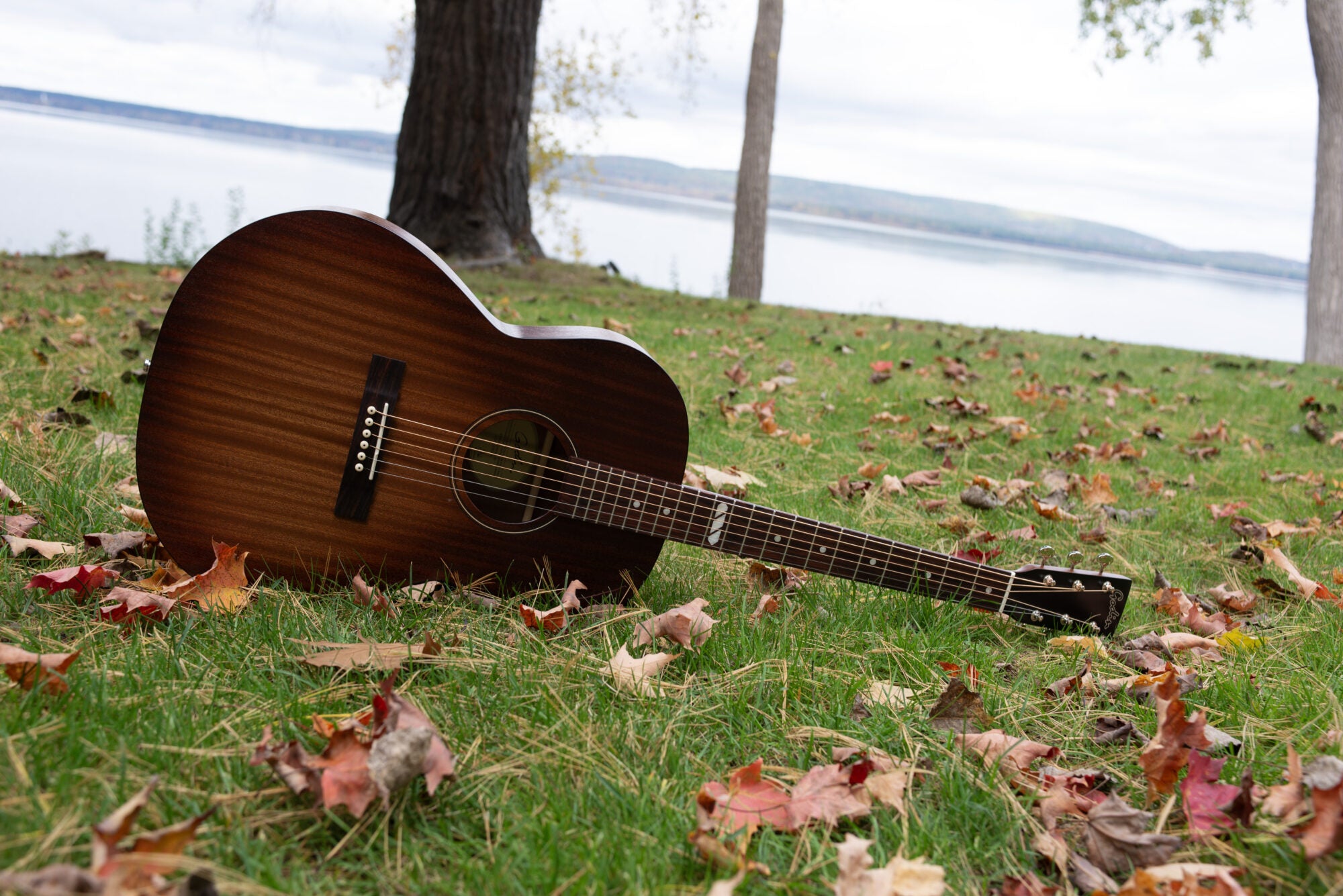 Godin Mahogany Folk Rustic Burst A/E