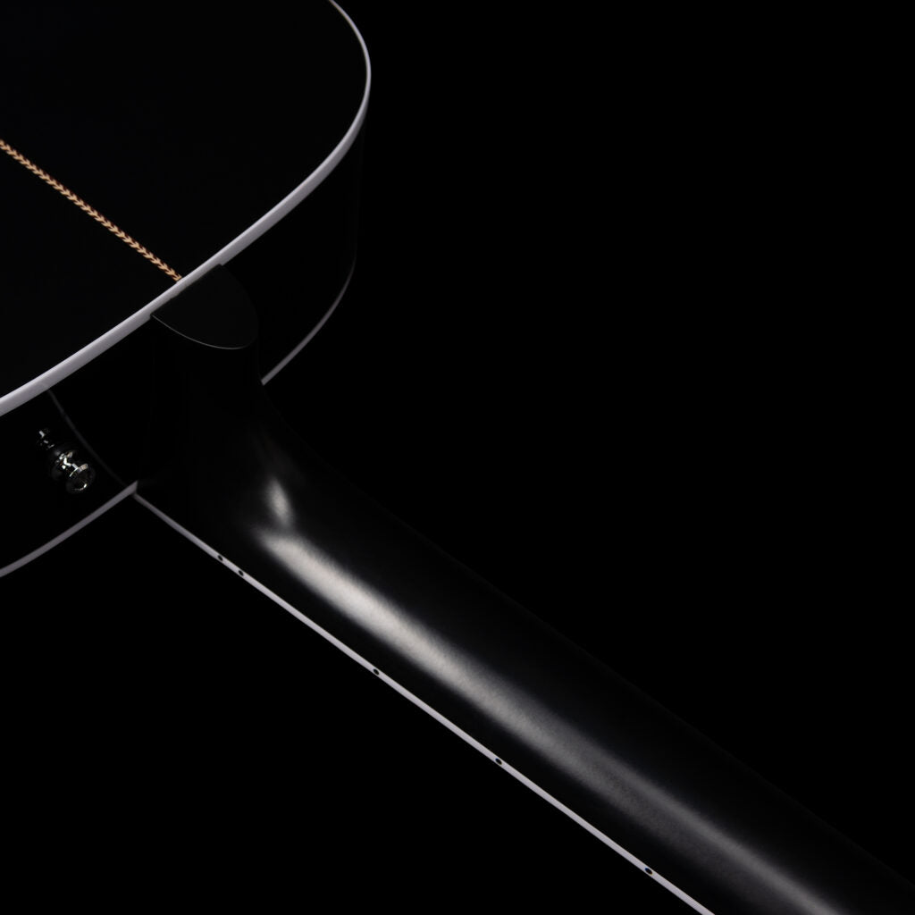 Seagull ARTIST TUXEDO BLACK ANTHEM EQ