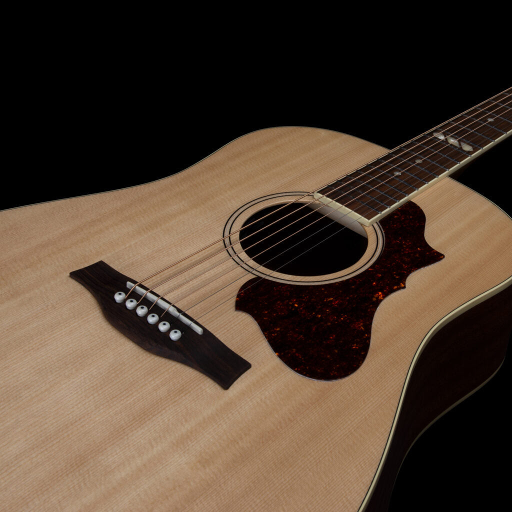 Godin Metropolis Natural RN GT EQ