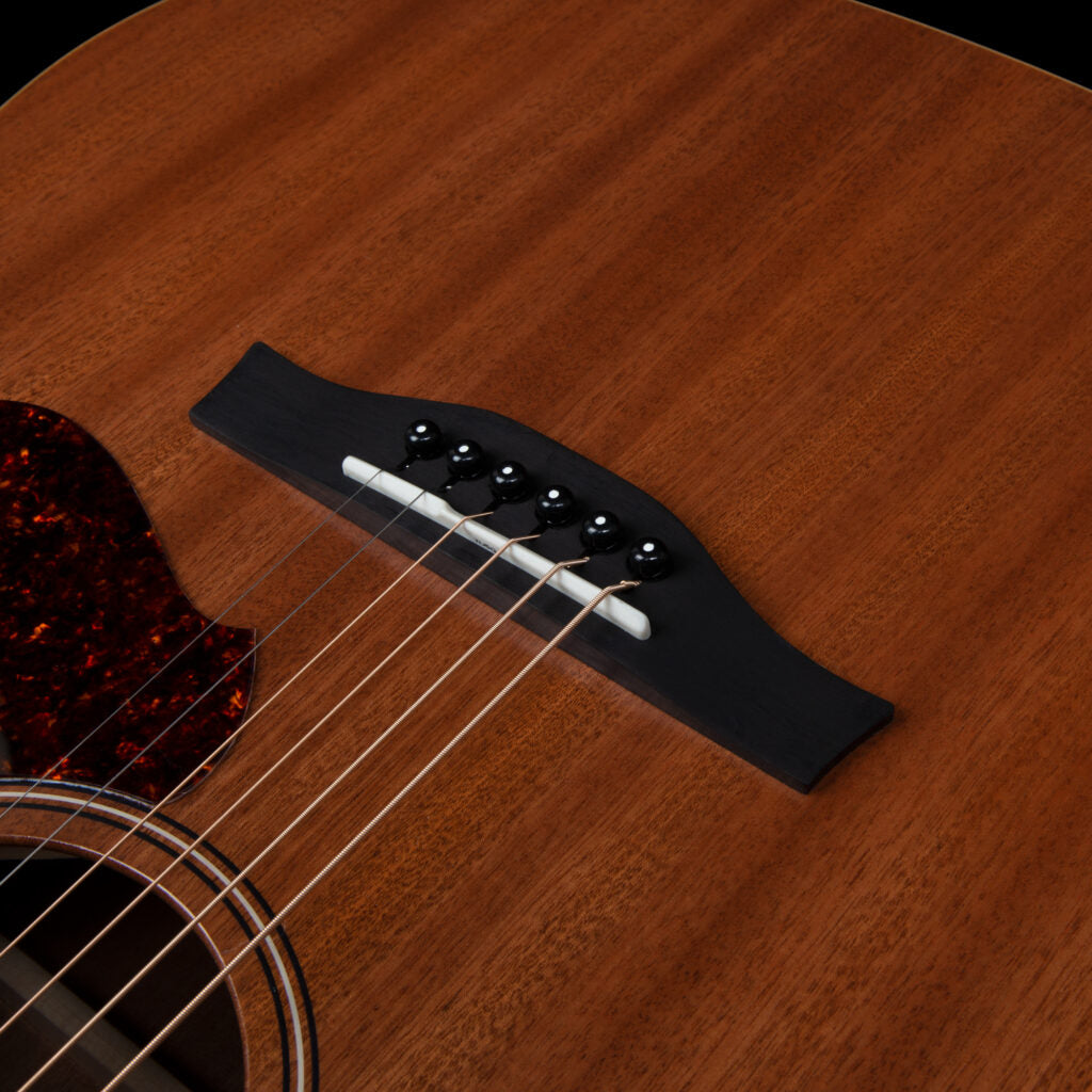 Godin Metropolis Composer LR Baggs Element