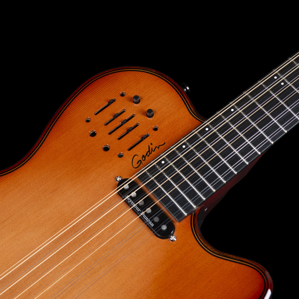 Godin A12 Ultra Dlx Lightburst