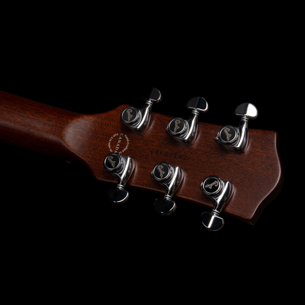 Godin Radium-X Natural